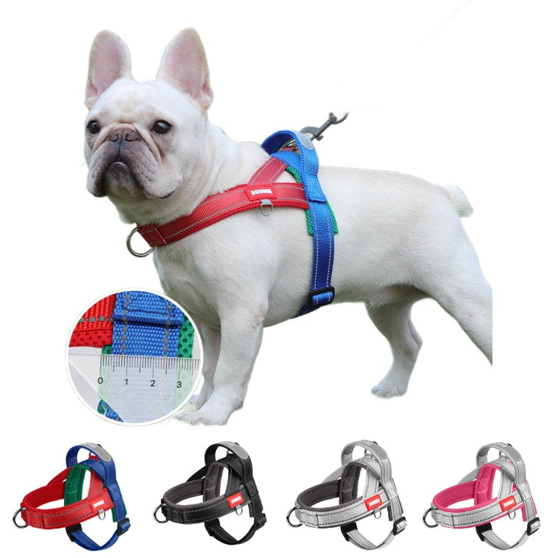 No-pull dog harness with three leash-attachment clips including a front chest clip