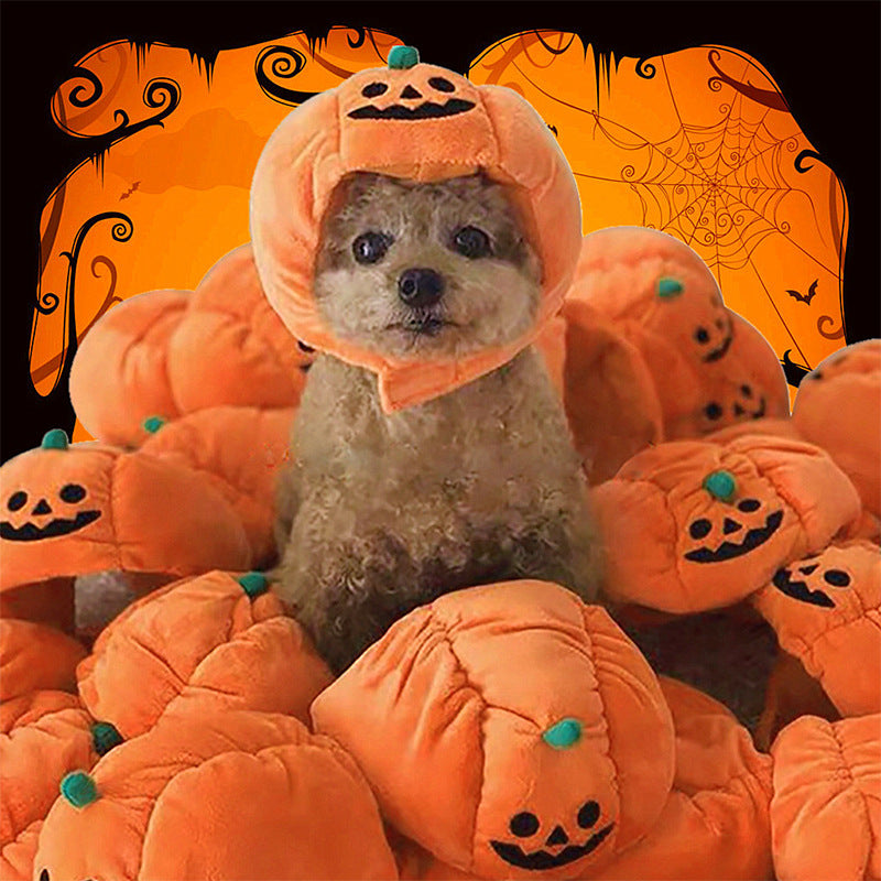 Pumpkin-shaped costume hat for small dogs and cats