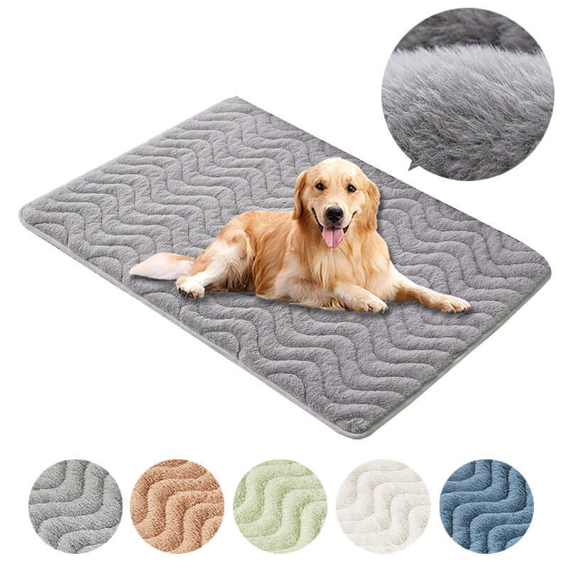 Pet Beds & Cozy Nests