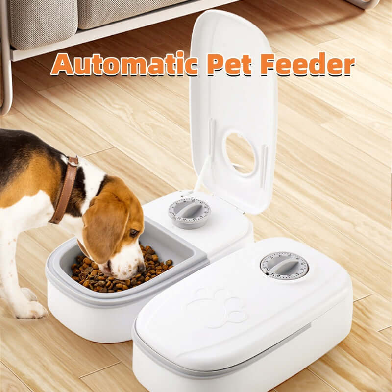 Everyday pet essentials including feeders, bowls and grooming brushes