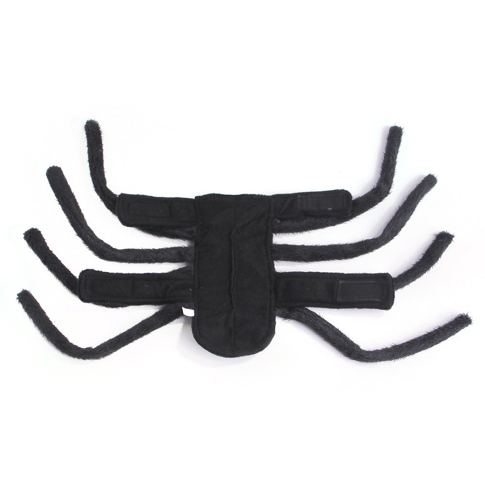 Spider costume for pets, Halloween cosplay – alternate view