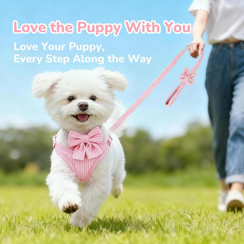 Small dog harness set, no-pull with bowtie – alternate view