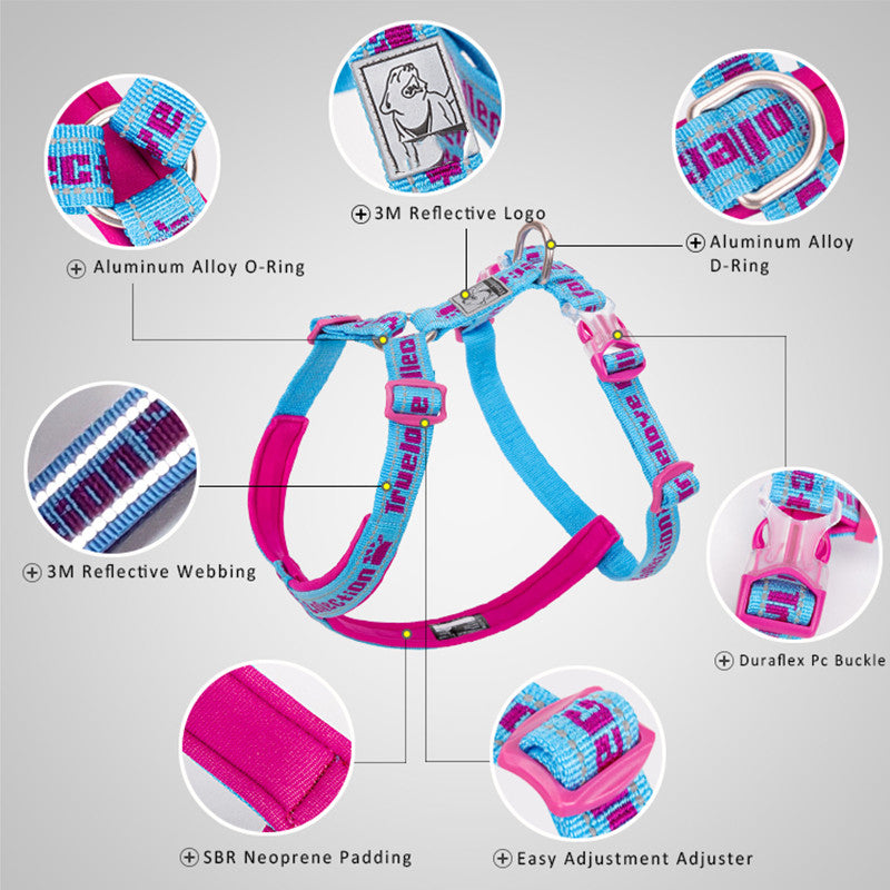 Neoprene padded dog harness, no-pull comfort – alternate view