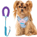 No-pull dog harness, escape-proof vest + leash – alternate view