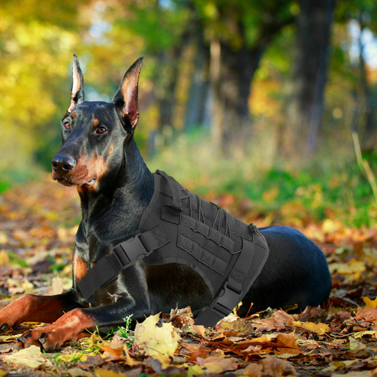 No-pull dog harness, padded vest for large dogs – alternate view