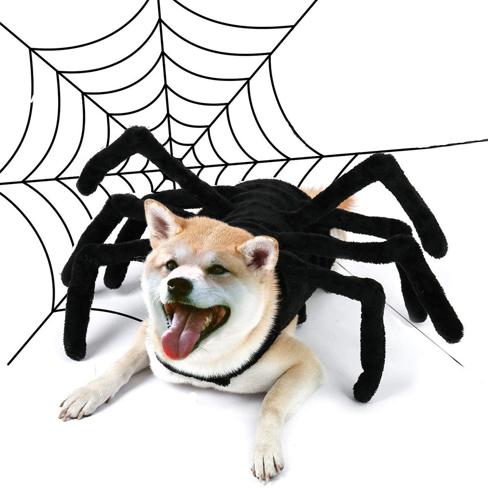 Spider costume for pets, Halloween cosplay