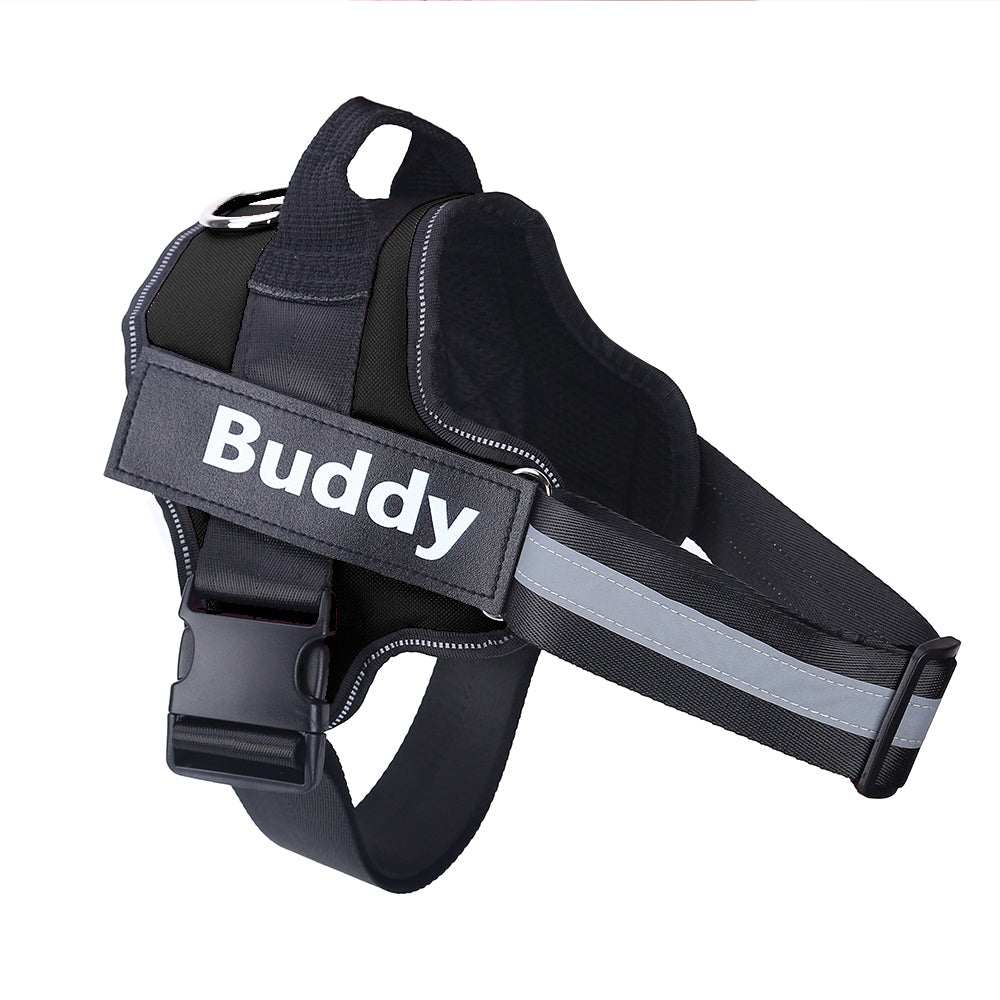 Personalized no-pull dog harness, custom patch – alternate view