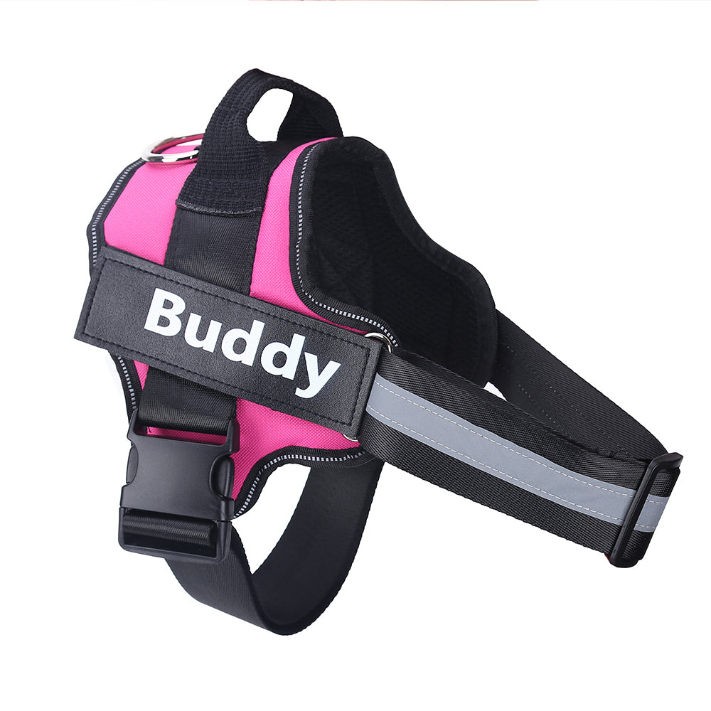 Personalized no-pull dog harness, custom patch – alternate view
