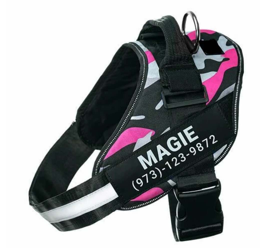 Custom personalized dog harness, no-pull patch – alternate view