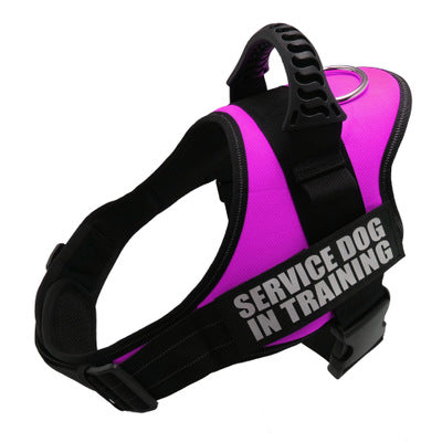 Custom personalized dog harness, no-pull patch – alternate view
