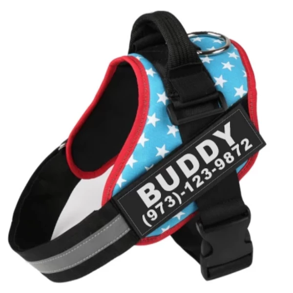 Custom personalized dog harness, no-pull patch – alternate view