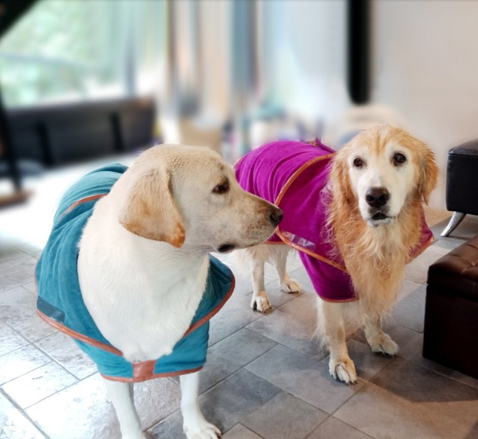 Quick-dry absorbent pet towel, bath & cleanup – alternate view