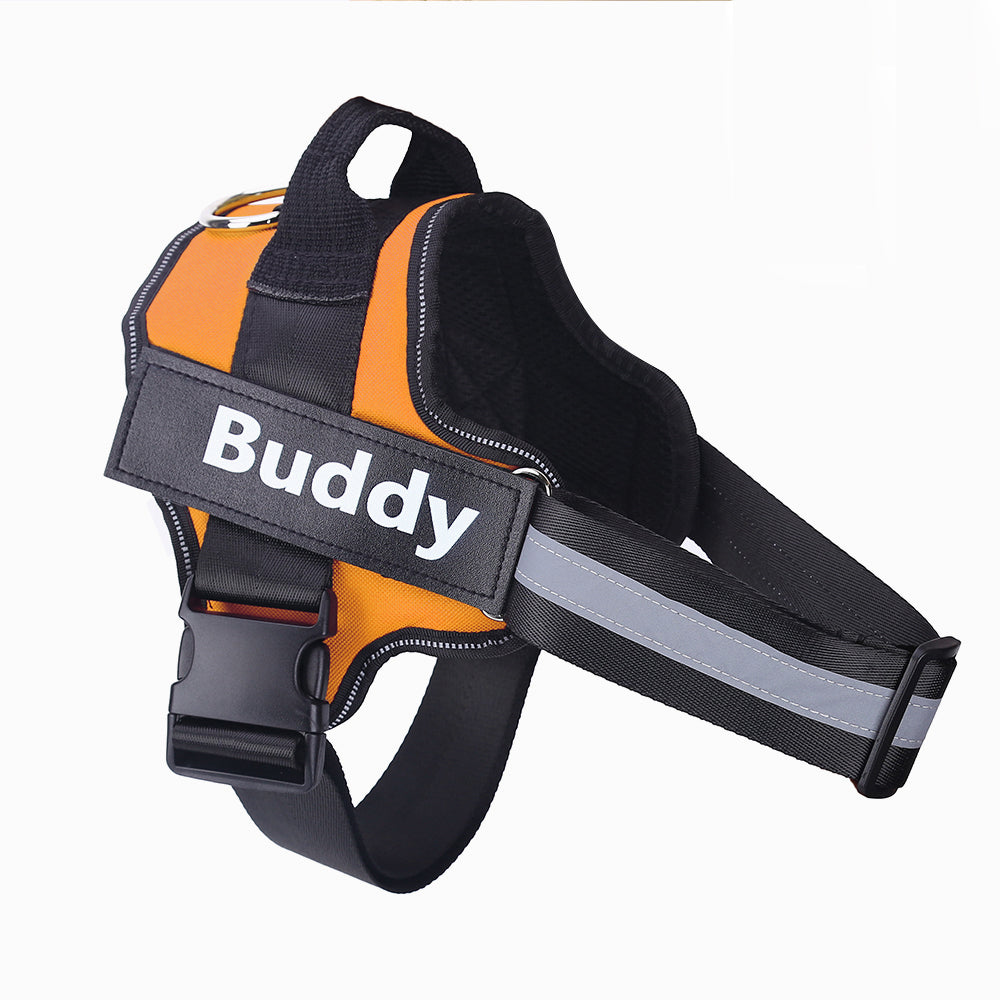 Personalized no-pull dog harness, custom patch – alternate view
