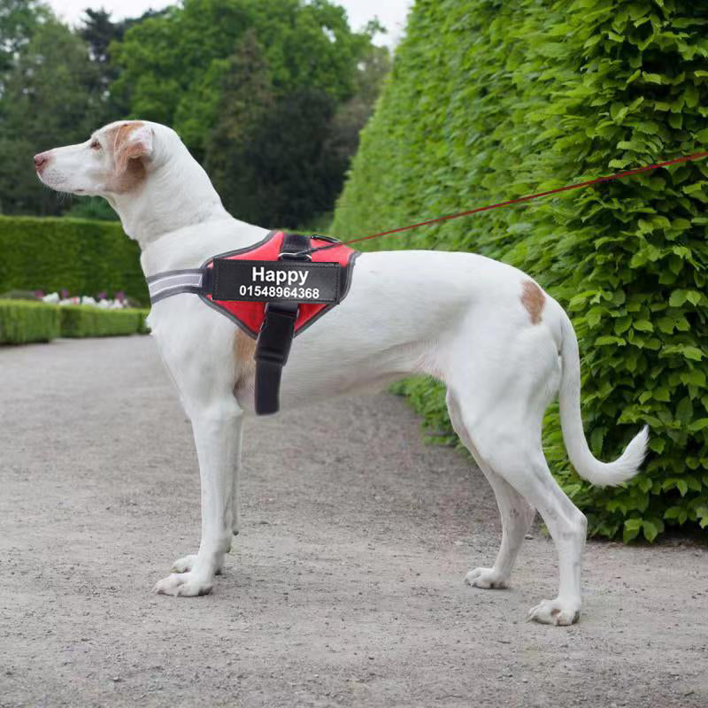 Custom personalized dog harness, no-pull patch