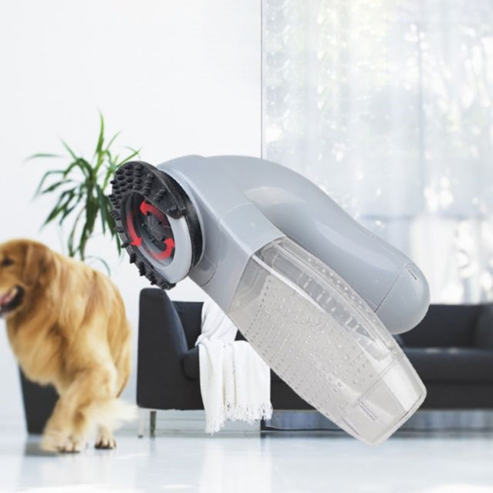 Electric portable pet hair remover