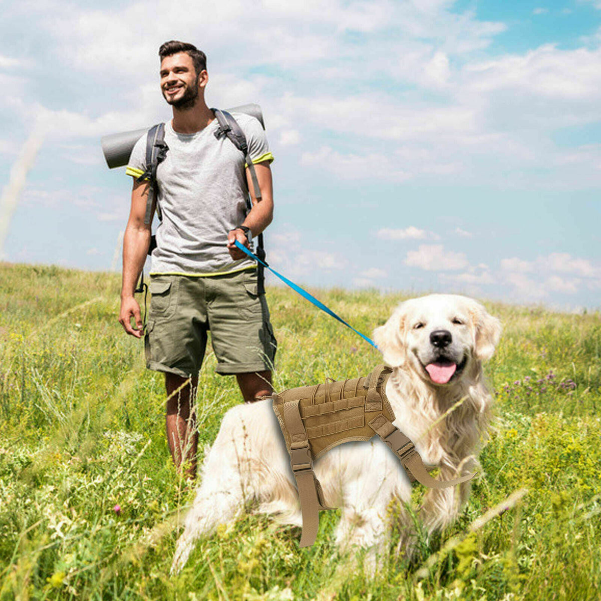 No-pull large dog harness, padded handle – alternate view