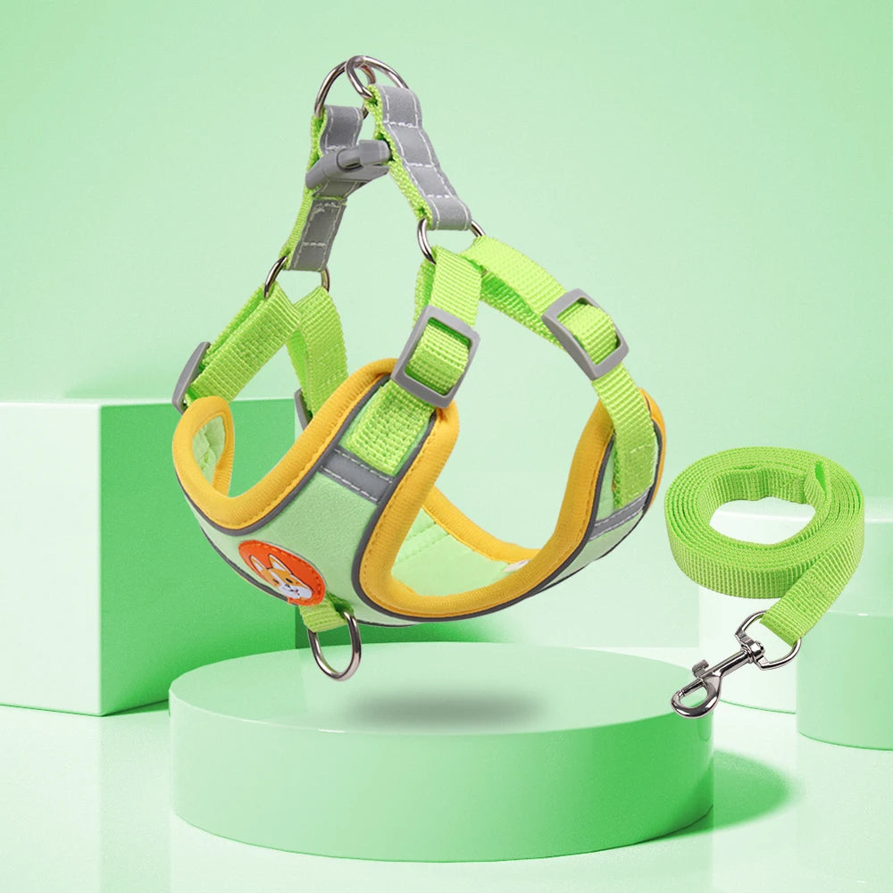 Small dog harness & leash set – alternate view
