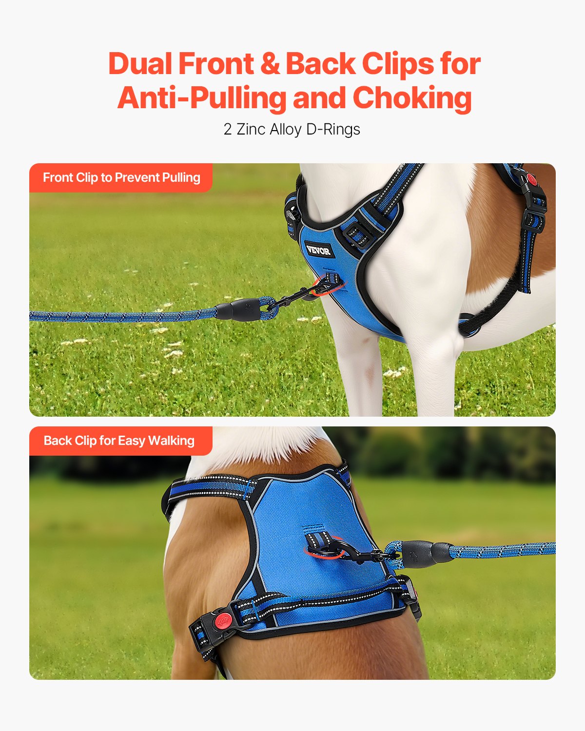 Large dog harness, with 5ft leash – alternate view