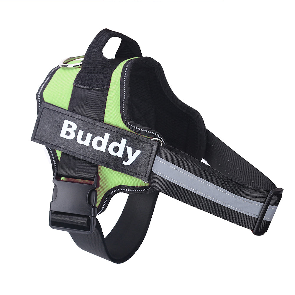 Personalized no-pull dog harness, custom patch – alternate view