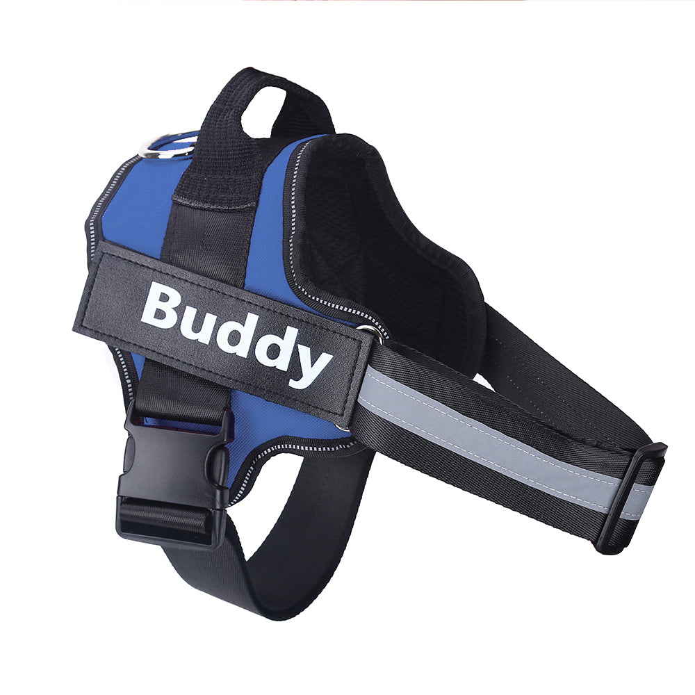Personalized no-pull dog harness, custom patch – alternate view