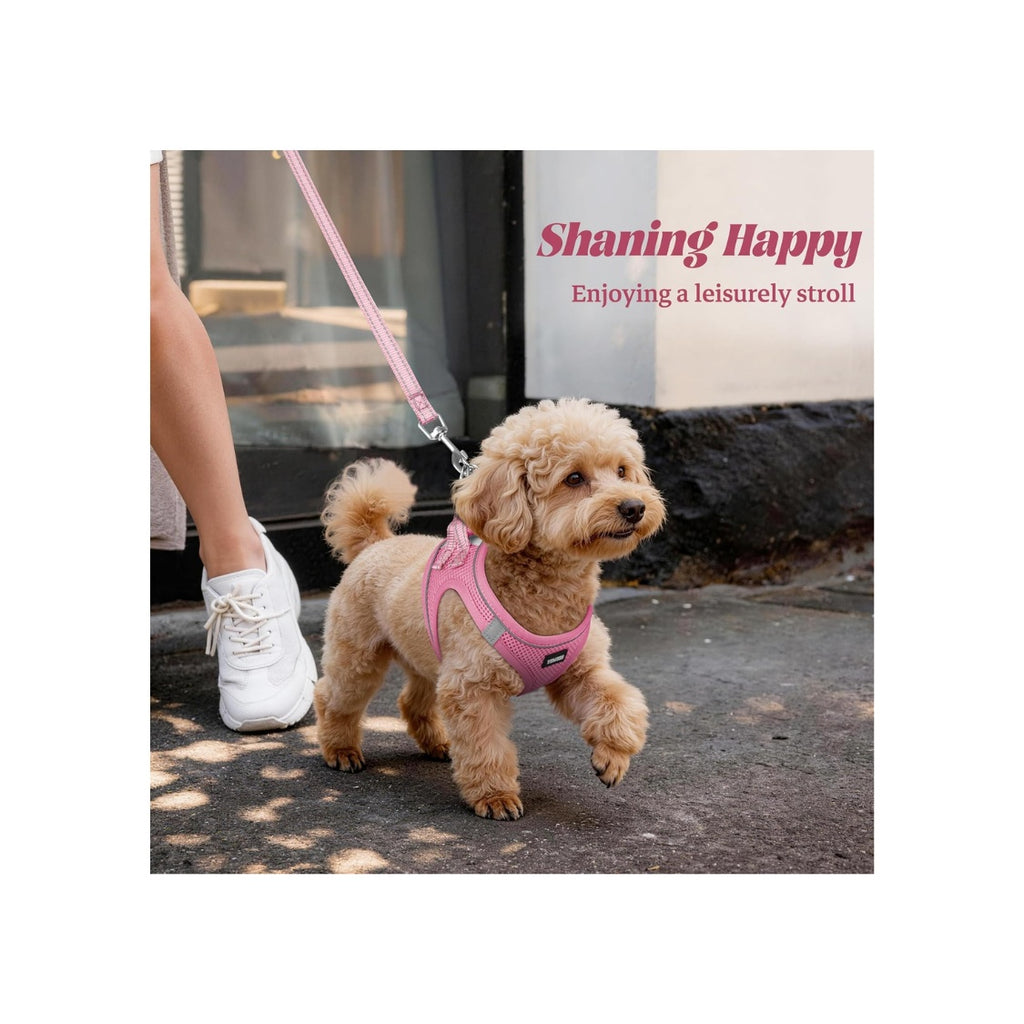 No-pull puppy harness & leash set, reflective mesh – alternate view