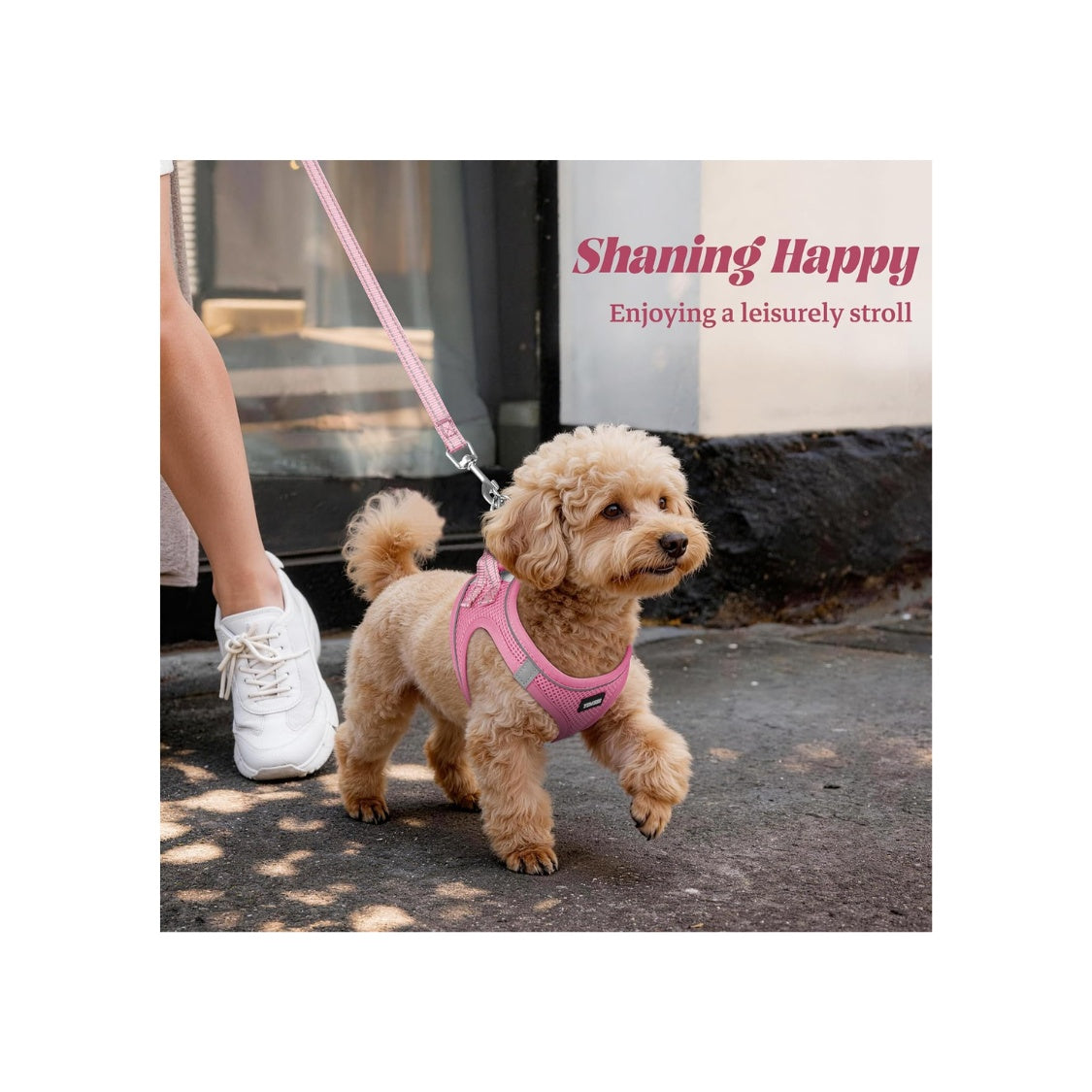 No-pull puppy harness & leash set, reflective mesh – alternate view