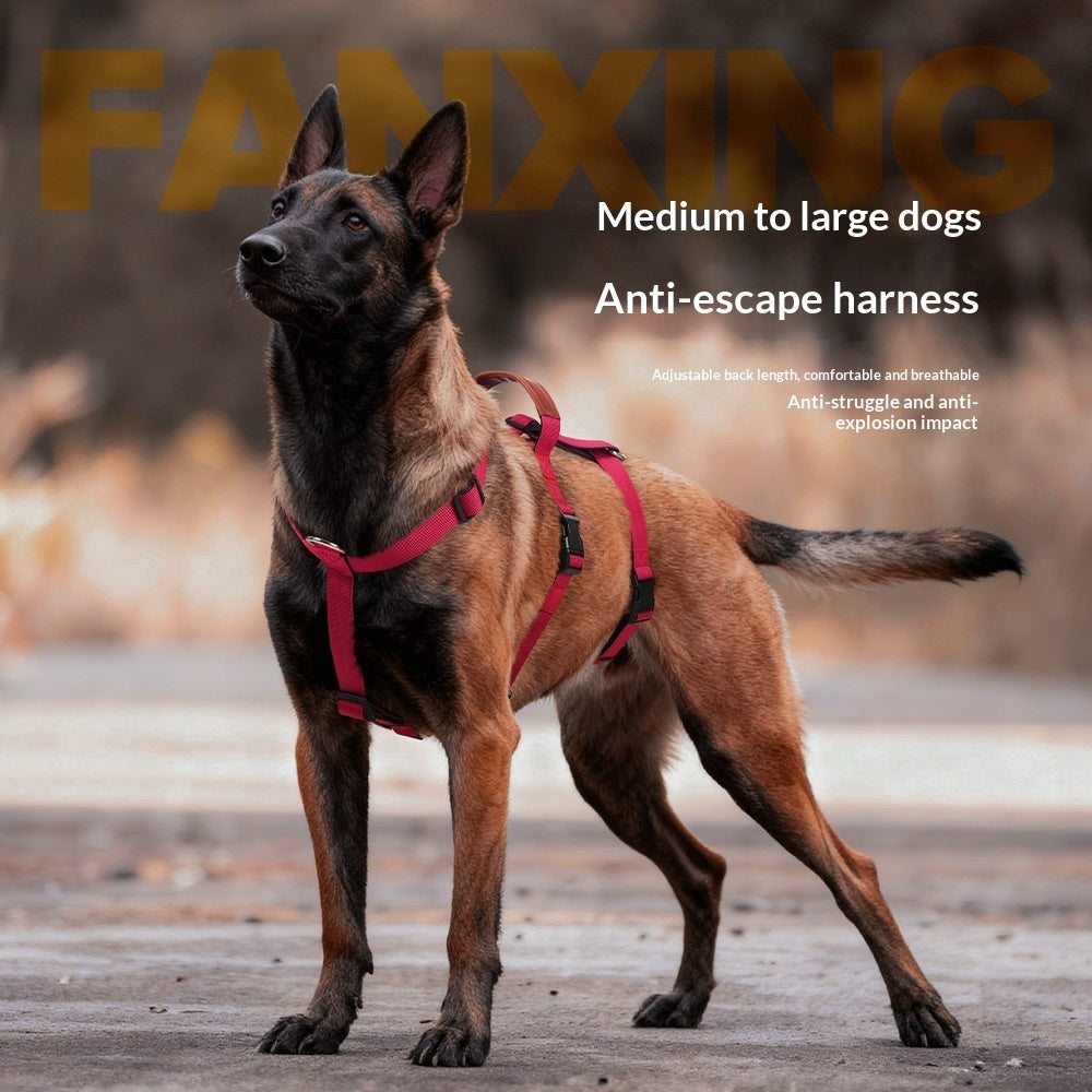 Anti-pull dog harness, medium & large dogs