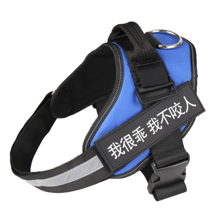 Personalized dog harness, no-pull, custom patch – alternate view
