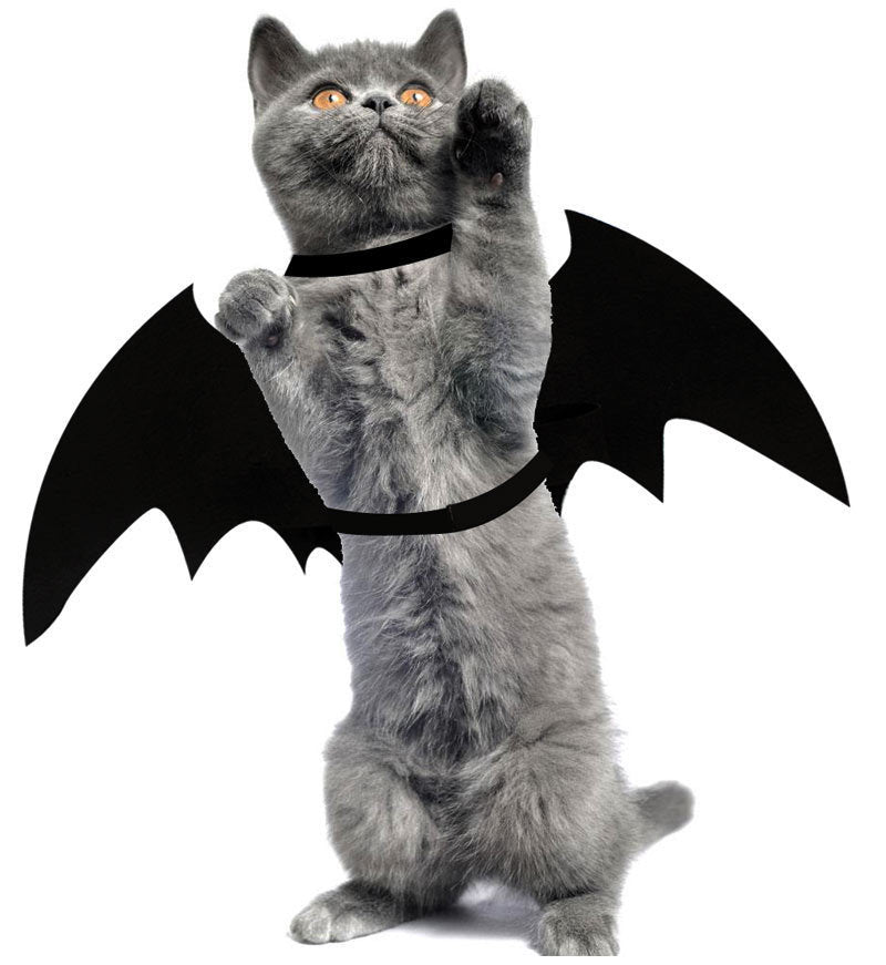 Bat wings pet costume, Halloween cosplay – alternate view