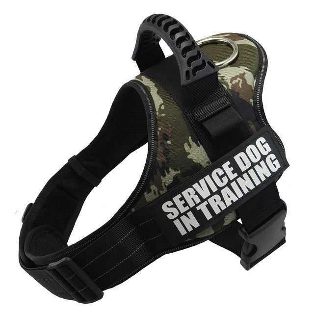 Custom personalized dog harness, no-pull patch – alternate view