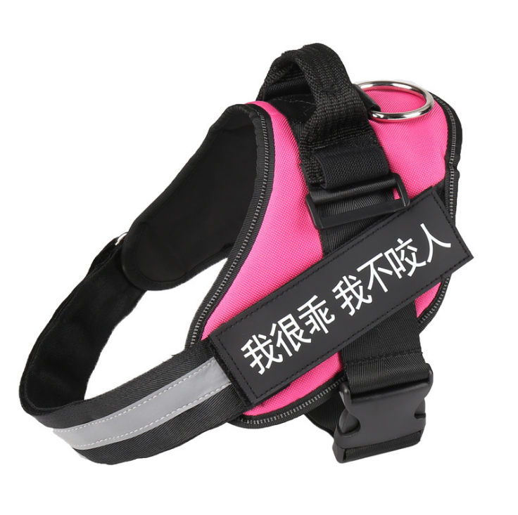 Personalized dog harness, no-pull, custom patch – alternate view
