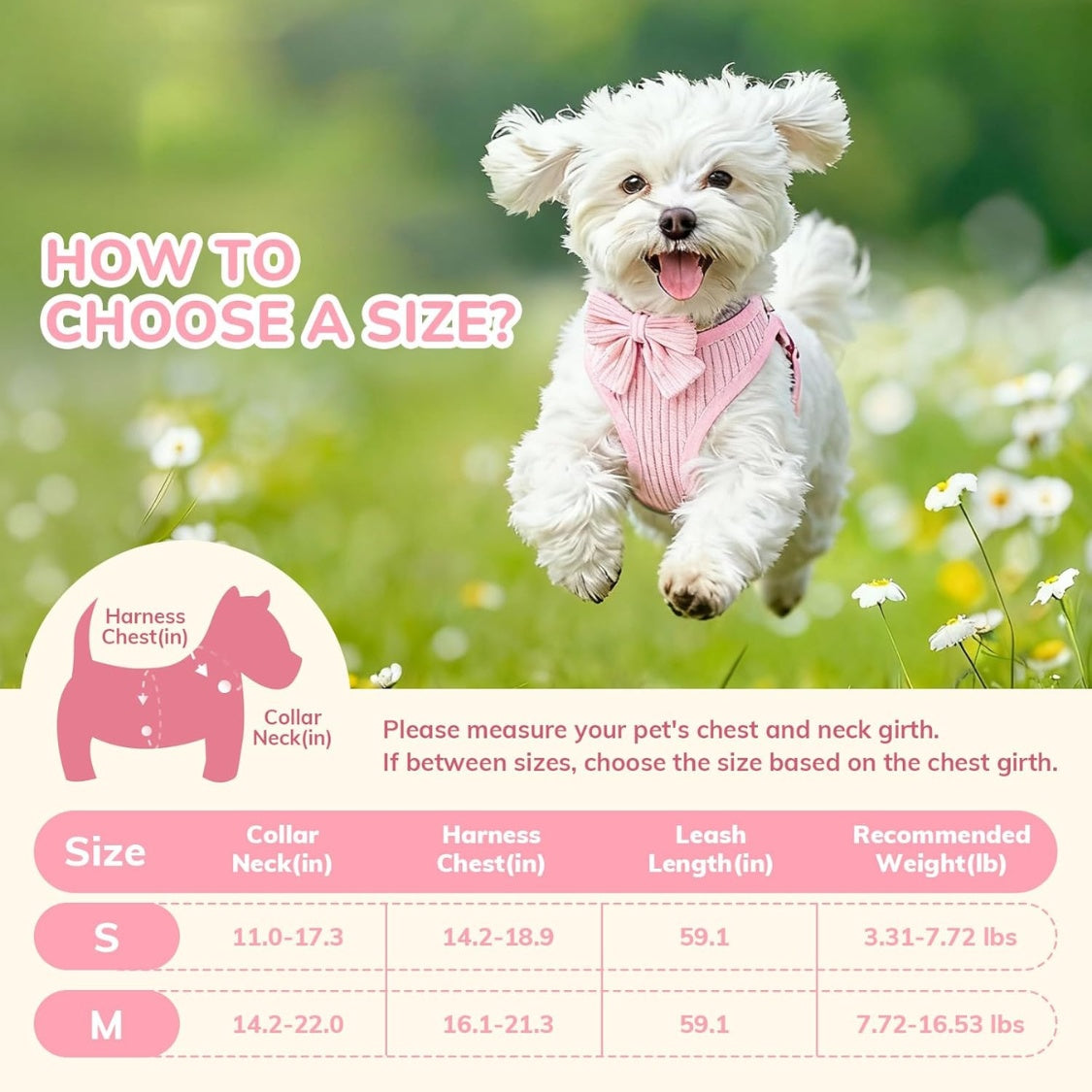 Small dog harness set, no-pull with bowtie – alternate view