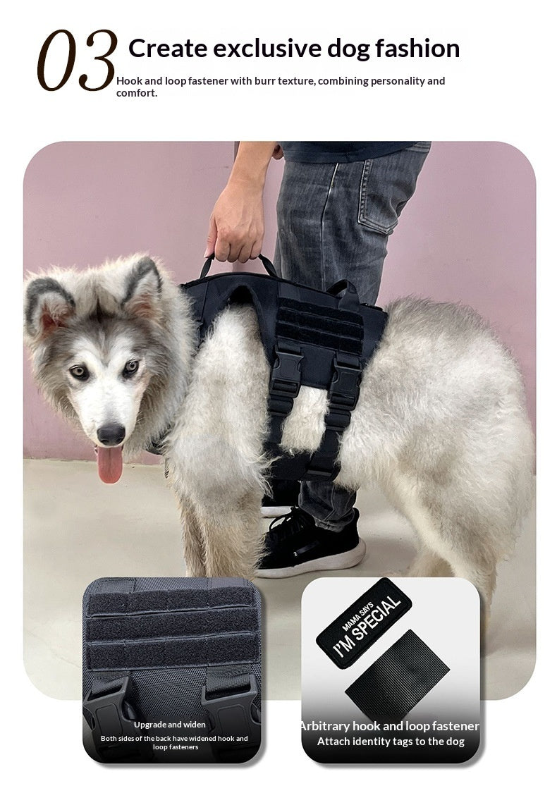 Tactical chest harness with dog leash – alternate view