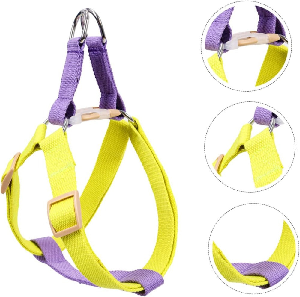 No-pull harness & leash set, small dogs – alternate view