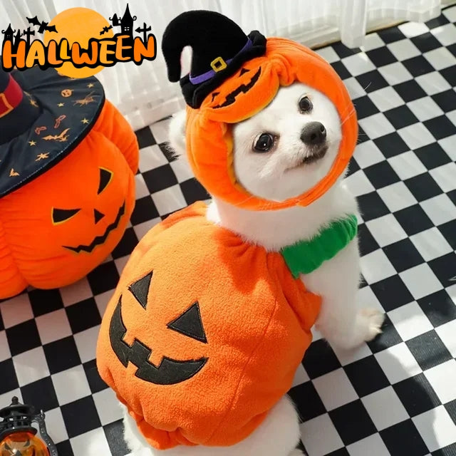 Pumpkin vest harness, pet Halloween costume