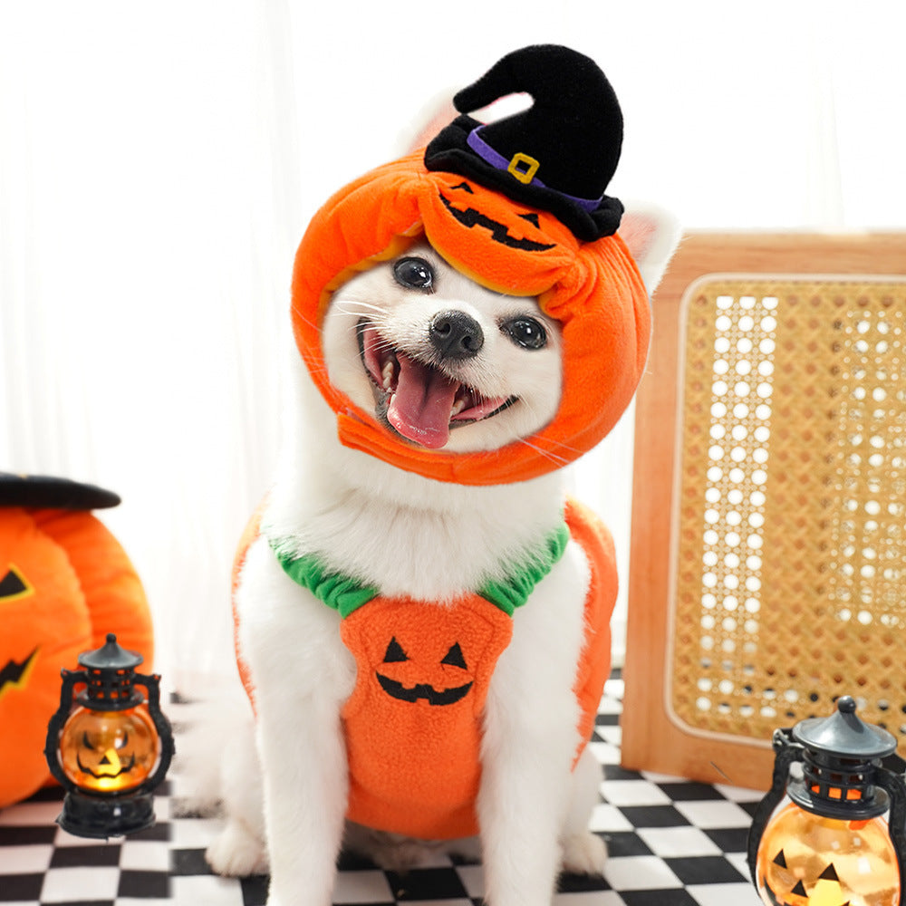 Pumpkin vest harness, pet Halloween costume – alternate view