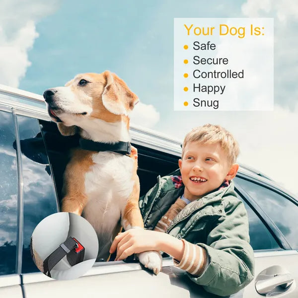 Pet seat belt leash 2-pack – alternate view