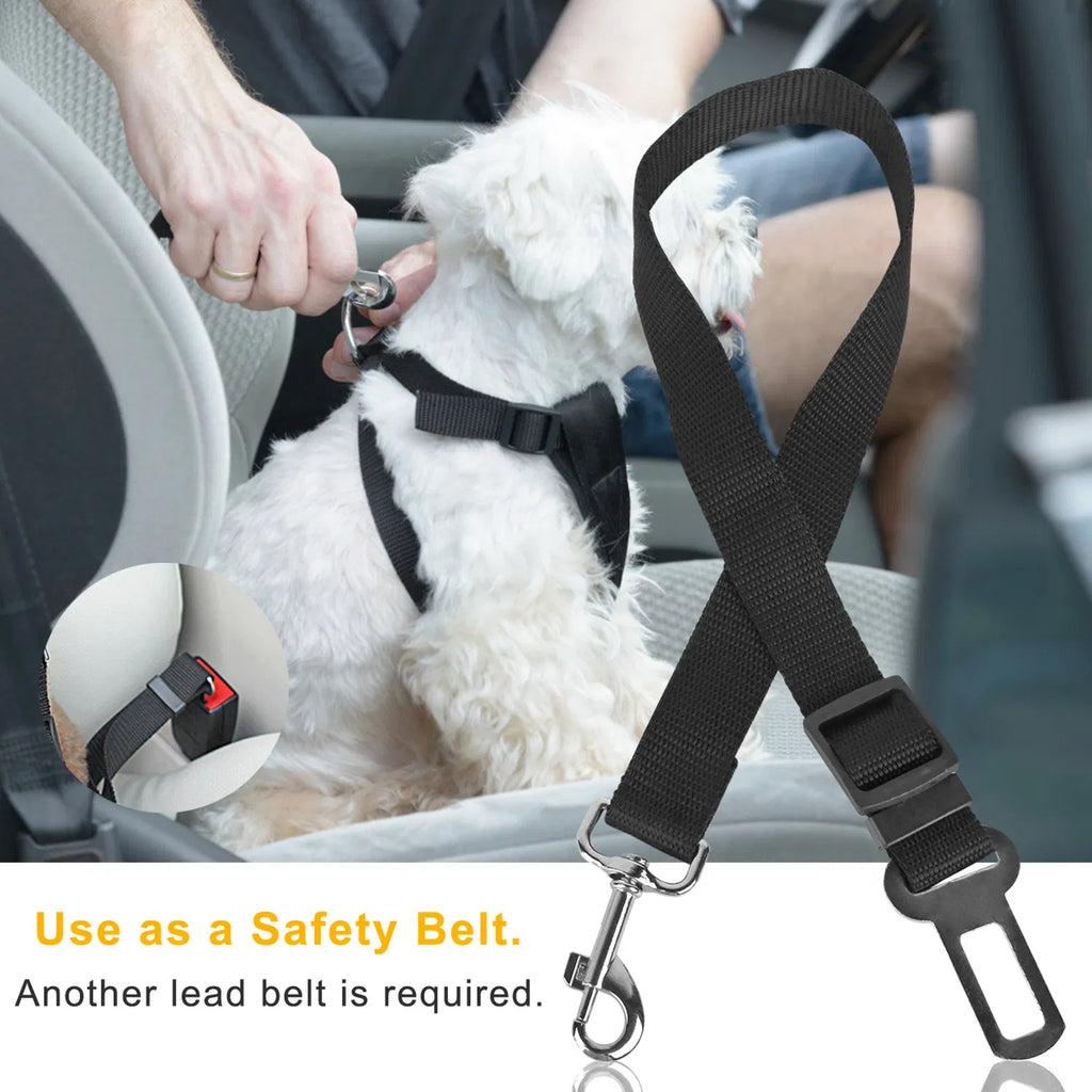 Pet seat belt leash 2-pack – alternate view