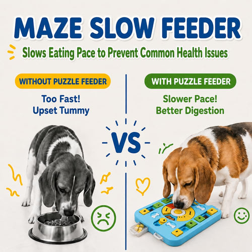 Blue treat puzzle toy, IQ brain stimulation – alternate view