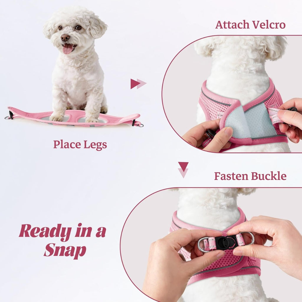 No-pull puppy harness & leash set, reflective mesh – alternate view