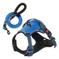 Large dog harness, with 5ft leash
