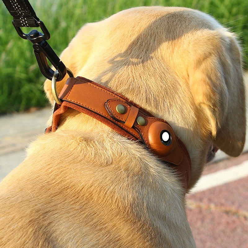 Genuine leather GPS tracker dog collar in black, army green, and orange