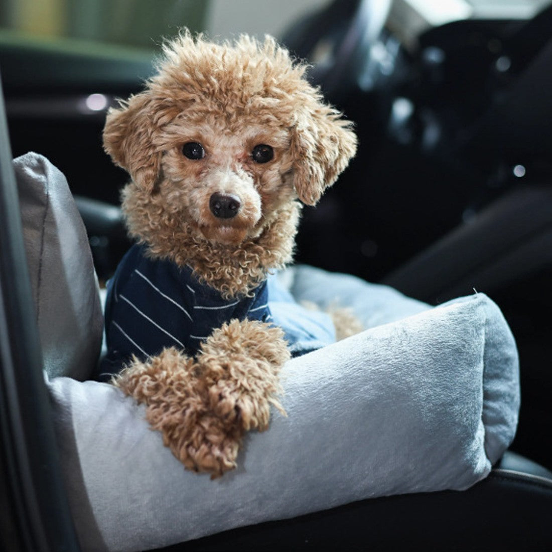 Plush dog car booster seat, washable – alternate view