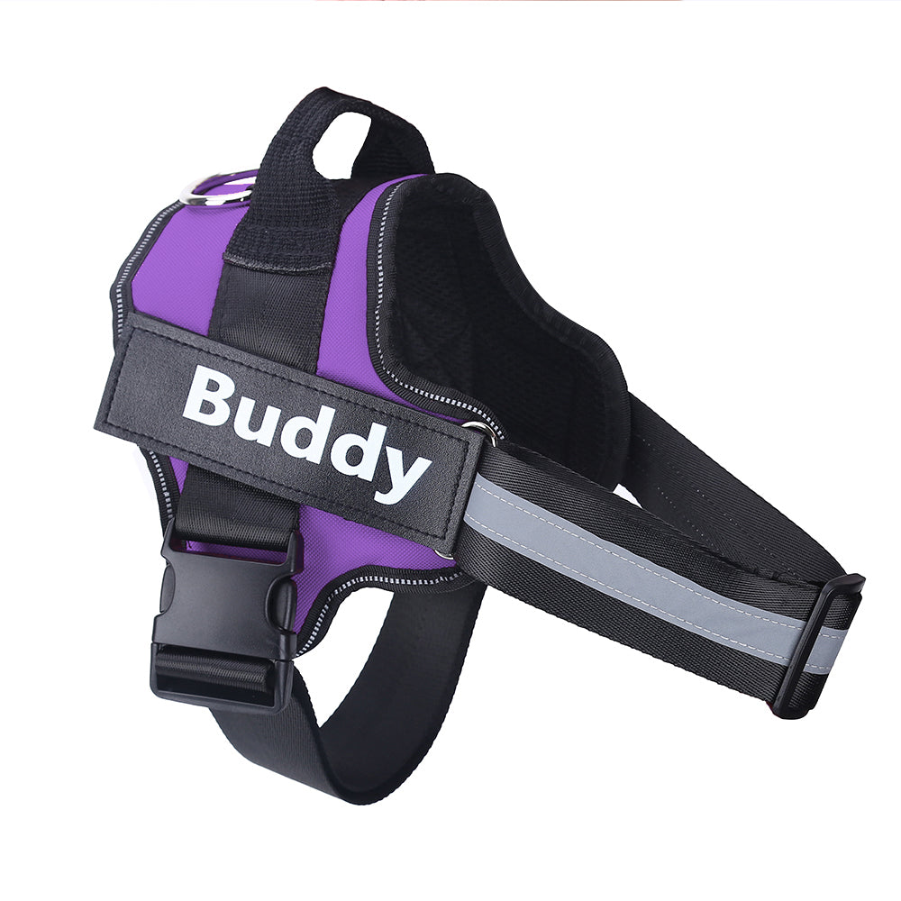Personalized no-pull dog harness, custom patch – alternate view