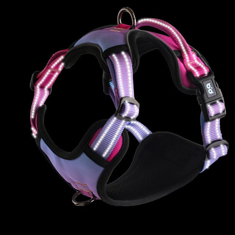 Adjustable reflective dog harness, padded comfort