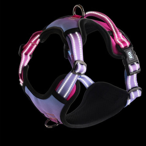 Adjustable reflective dog harness, padded comfort