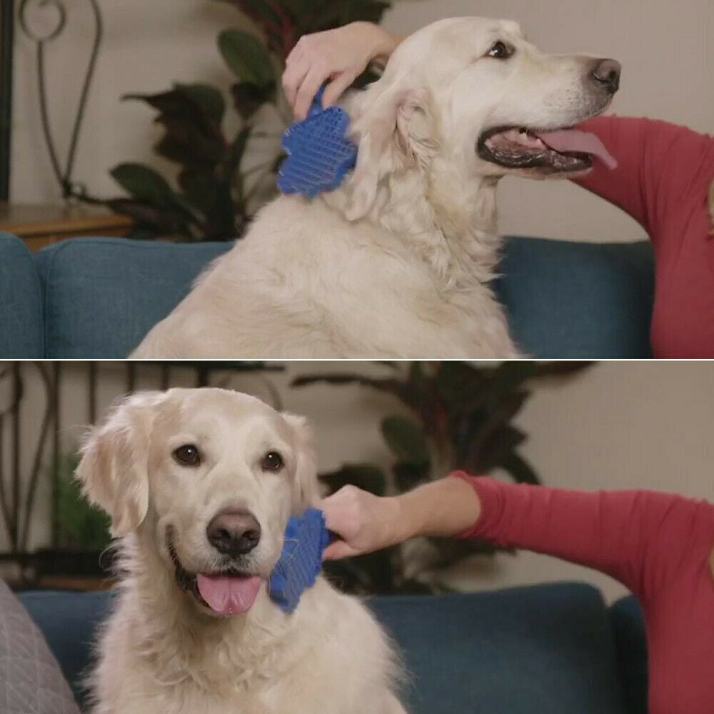 Gentle pet grooming & hair brush – alternate view