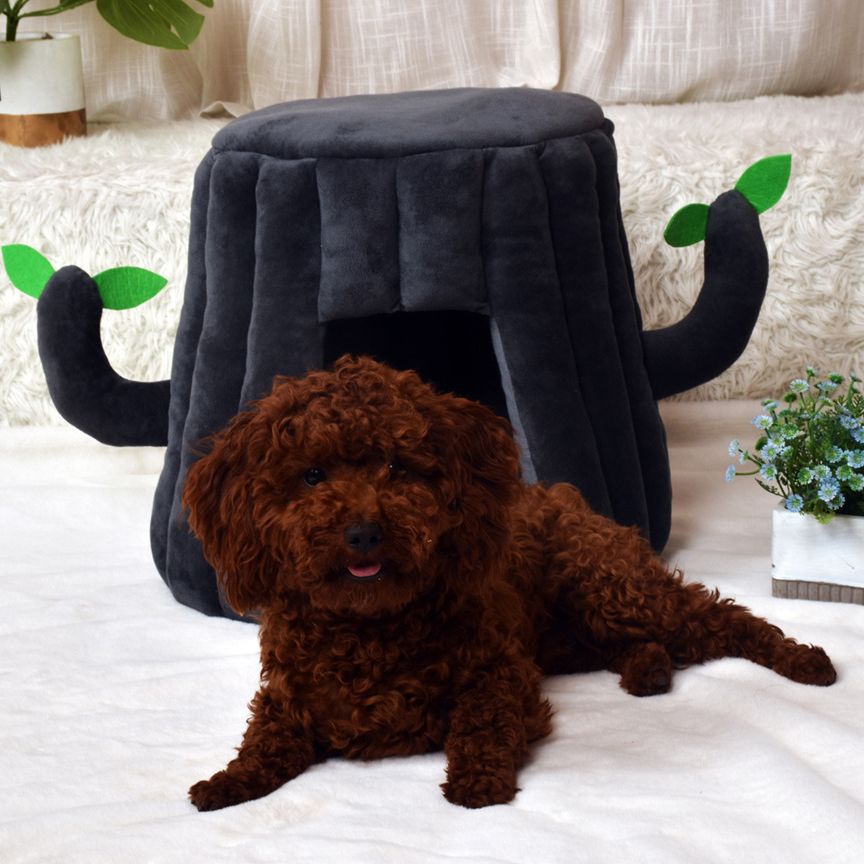 Enclosed cat house bed, cozy plush hideaway – alternate view