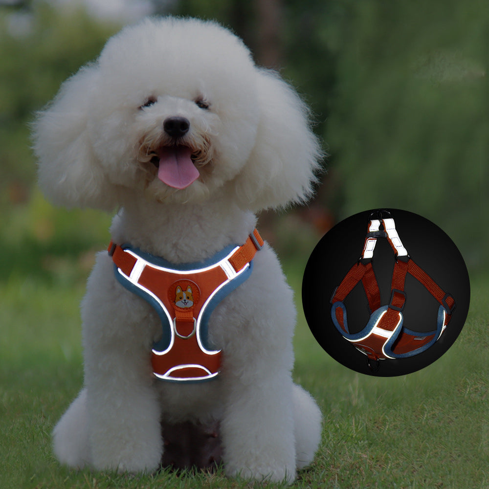 Small dog harness & leash set – alternate view