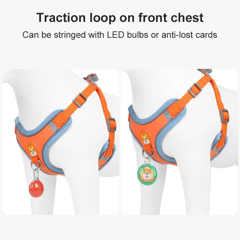 Small dog harness & leash set – alternate view